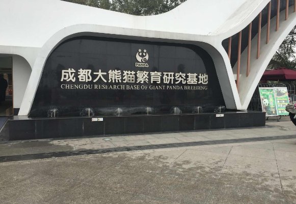 四川大熊猫基地是什么地方