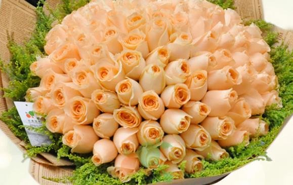 十一朵香槟玫瑰的花语是什么