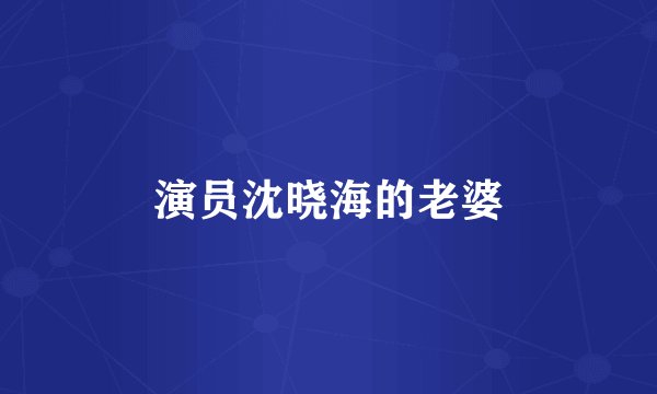 演员沈晓海的老婆