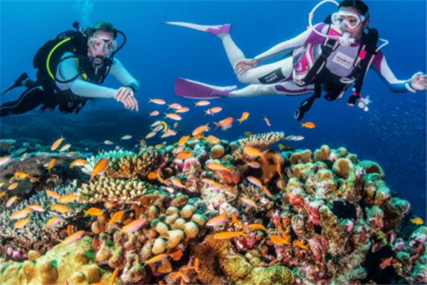 你觉得潜水算是高消费运动吗？