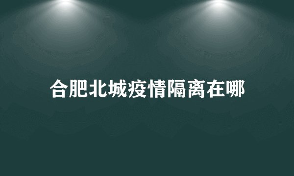 合肥北城疫情隔离在哪