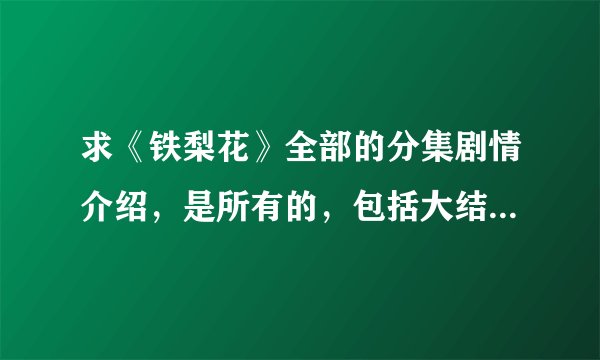 求《铁梨花》全部的分集剧情介绍，是所有的，包括大结局。。。。