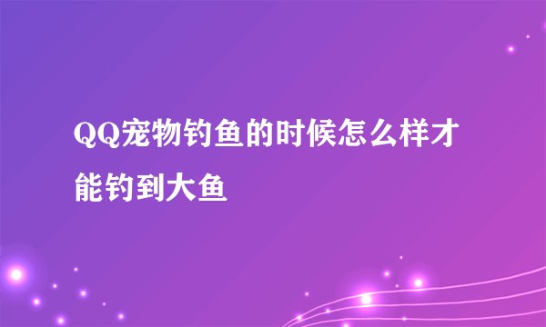 QQ宠物钓鱼的时候怎么样才能钓到大鱼