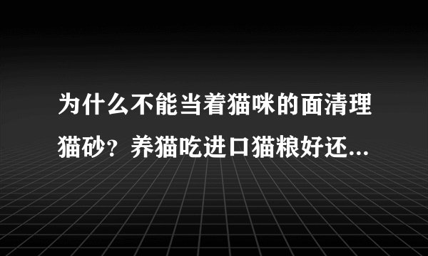 为什么不能当着猫咪的面清理猫砂？养猫吃进口猫粮好还是吃伟嘉猫粮这类国产猫粮好？