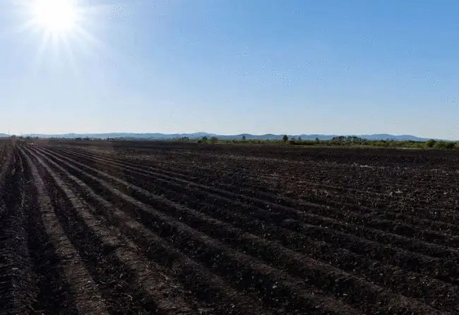 肥沃的土地才能种出最好的粮食，黑土地告急会出现哪些后果？