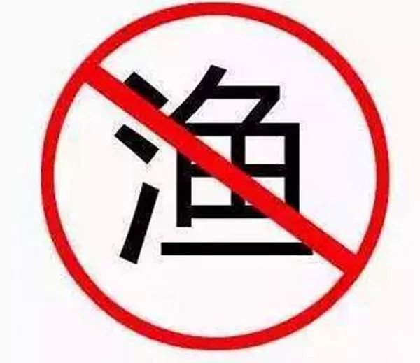 荣成非法捕捞事件相关队长被停职,是不是太轻了?