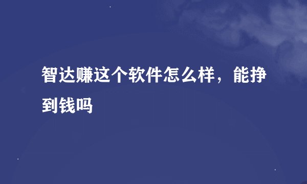 智达赚这个软件怎么样，能挣到钱吗