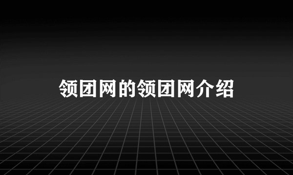 领团网的领团网介绍