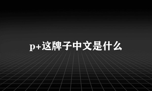 p+这牌子中文是什么