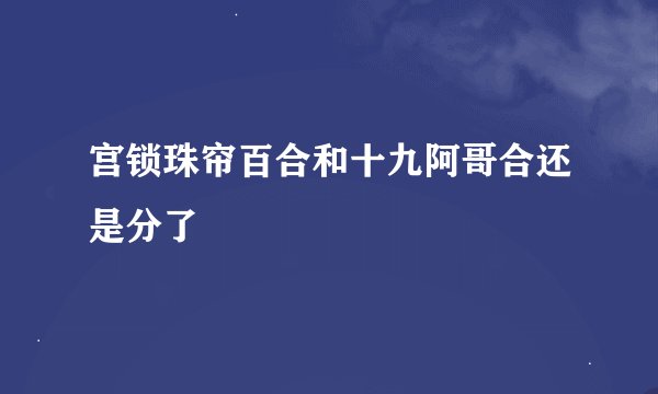 宫锁珠帘百合和十九阿哥合还是分了
