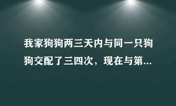 我家狗狗两三天内与同一只狗狗交配了三四次，现在与第一次交配已经一周了，有深色血水流出，啥回事？