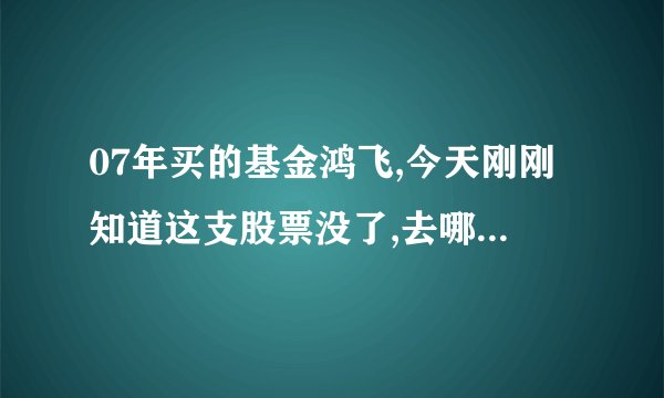 07年买的基金鸿飞,今天刚刚知道这支股票没了,去哪里要钱呢.
