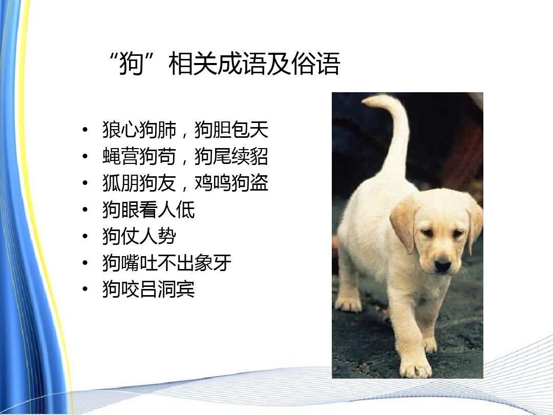 狗嘴长不出象牙歇后语