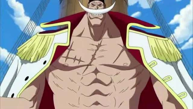 海贼王顶上战争多少级