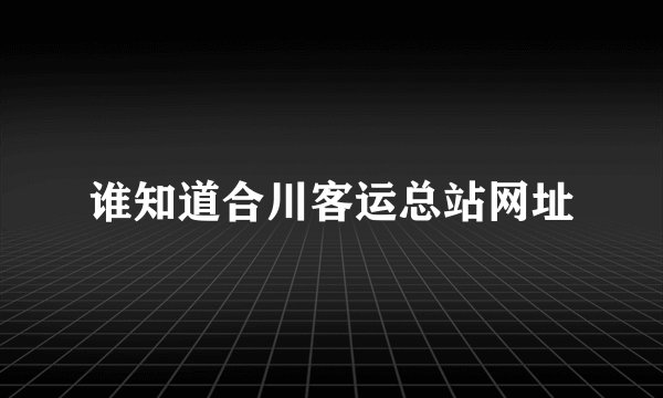 谁知道合川客运总站网址