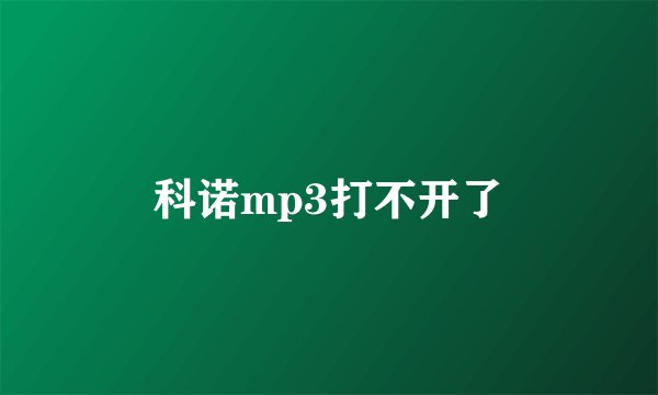 科诺mp3打不开了