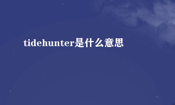 tidehunter是什么意思