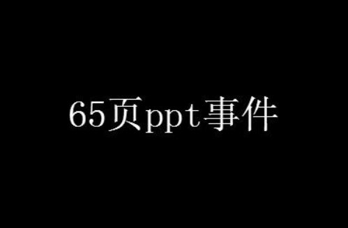 65页ppt的梗