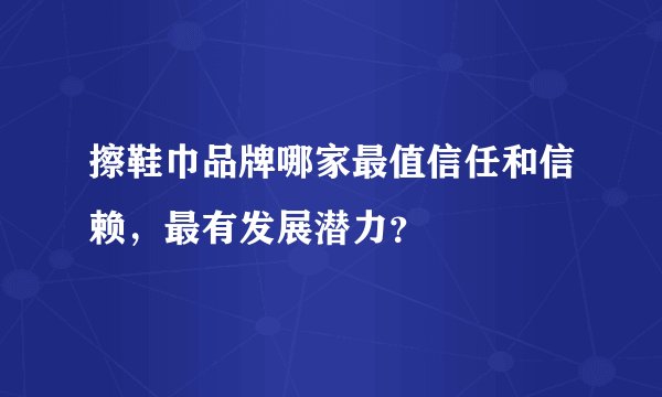 擦鞋巾品牌哪家最值信任和信赖，最有发展潜力？