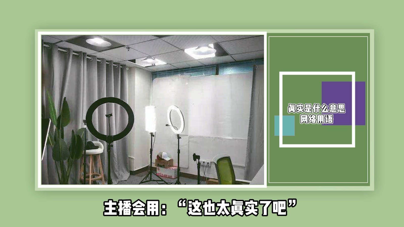 真实是什么意思网络用语?