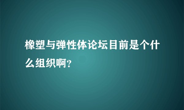橡塑与弹性体论坛目前是个什么组织啊？
