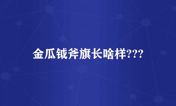 金瓜钺斧旗长啥样???