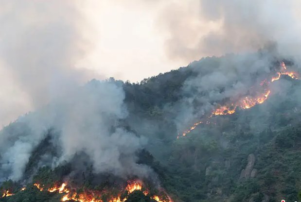 3D还原重庆山火:7天10余起山火,为何山火如此频发?