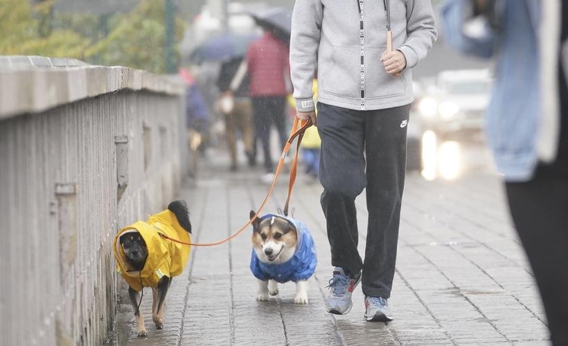 武汉坠楼女子父亲称警方未立案,警方为何没有立案?