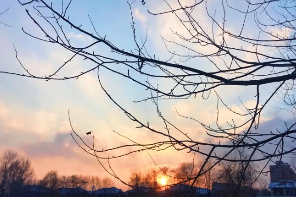 既…… 也…… 造句怎么写？