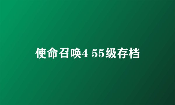 使命召唤4 55级存档