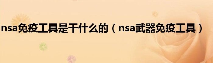 nsa免疫工具是干什么的nsa武器免疫工具