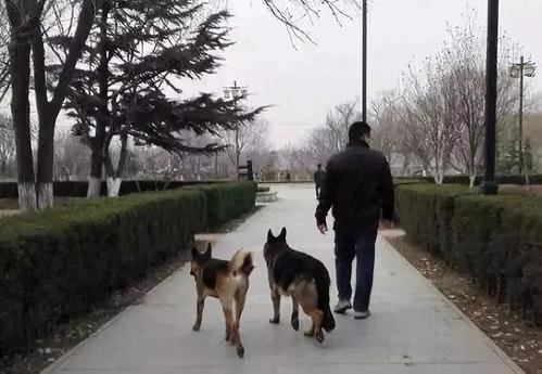 武汉坠楼女子父亲称警方未立案,警方为何没有立案?