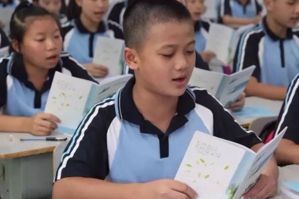 狮子抢球怎么画二年级