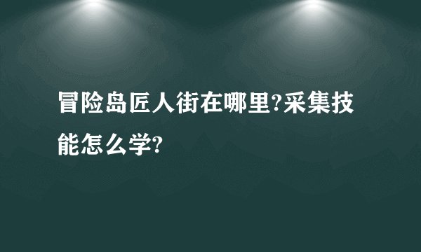 冒险岛匠人街在哪里?采集技能怎么学?
