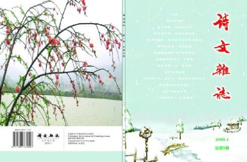 陕西80后作家的沈奕军