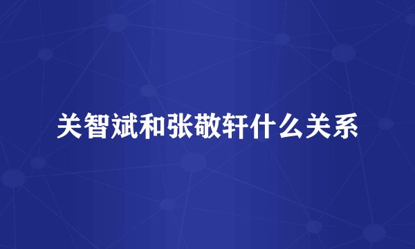 关智斌和张敬轩什么关系