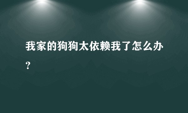 我家的狗狗太依赖我了怎么办？