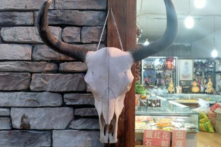 牛头挂角是什么意思