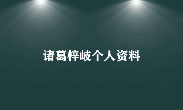 诸葛梓岐个人资料