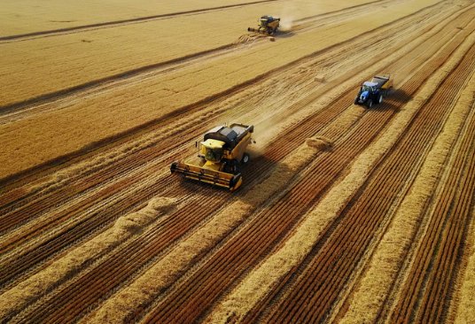 中秋来历 中秋节在什么时候成为固定节日的