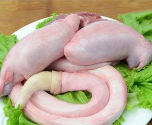 牛鞭一般有多长呀?