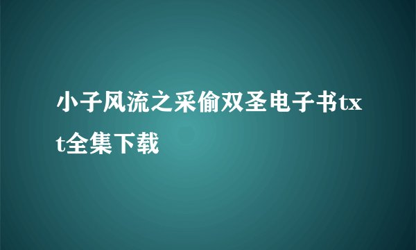小子风流之采偷双圣电子书txt全集下载