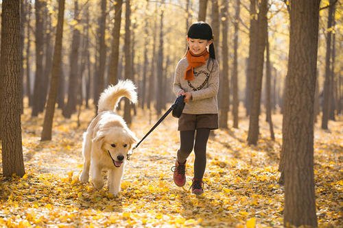 打电话的时候,你可以一边打电话,一边来回踱着步子,这样做有什么好处?