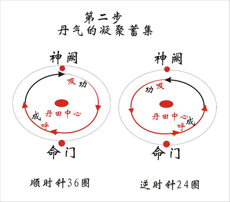 五行逍遥决的内容简介