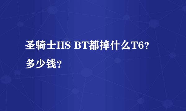 圣骑士HS BT都掉什么T6？多少钱？