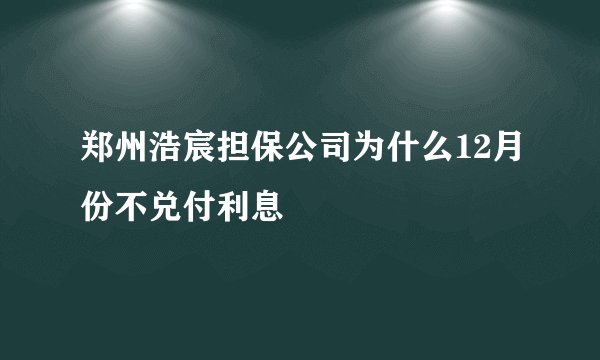郑州浩宸担保公司为什么12月份不兑付利息