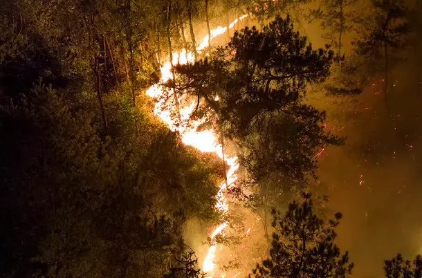 3D还原重庆山火:7天10余起山火,为何山火如此频发?