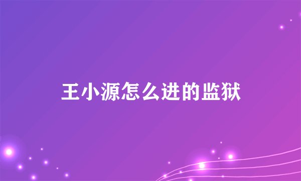 王小源怎么进的监狱