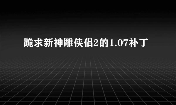 跪求新神雕侠侣2的1.07补丁