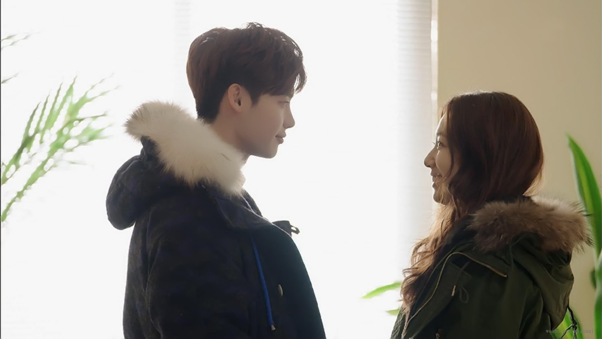 匹诺曹的情人节的介绍